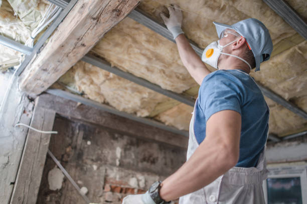Best Home Insulation Services  in East Quogue, NY