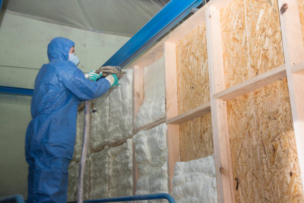 Best Crawl Space Insulation  in East Quogue, NY